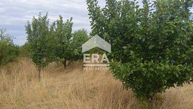 Vânzare - Teren agricol în Kovace,  Stara Zagora
