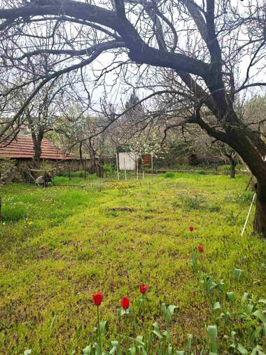 Продажа - Дом в Малка Верея,  Стара Загора