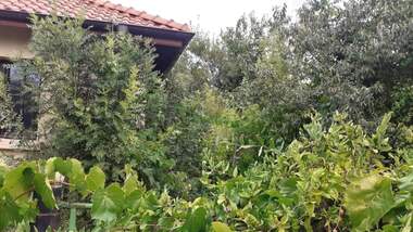 For sale - For Construction in Trystikovo,  Burgas