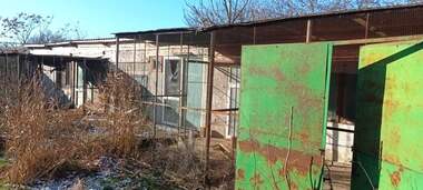 For sale - For Construction in Bylgarevo,  Dobrich