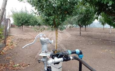 Verkauf - Obstgarten in Gradina,  Plowdiw