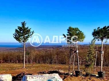For sale - House in Priseltsi,  Varna
