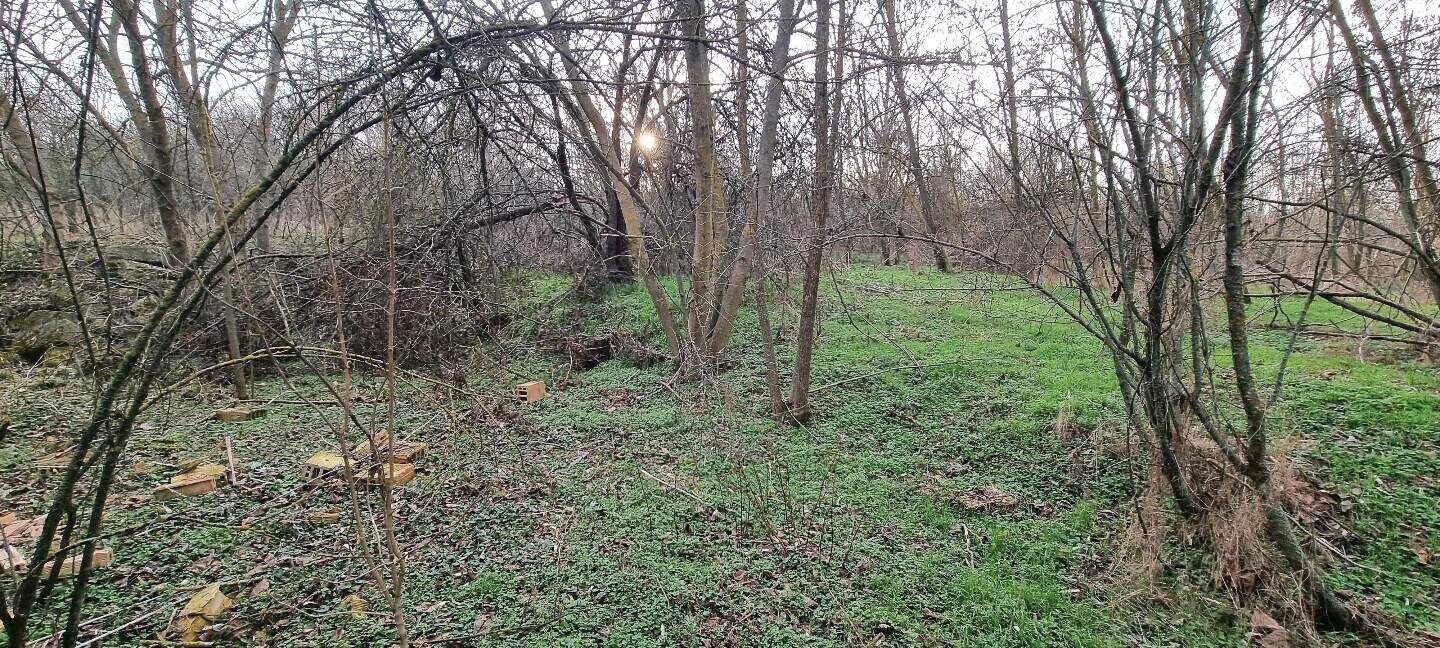 Ev olarak Pobit Kamak, Razgrad – fotoğraf 5
