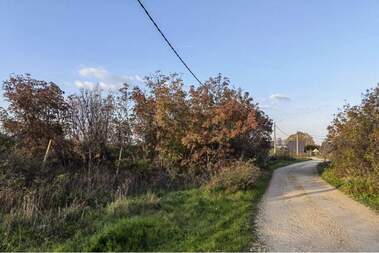 Satış - İnşaat arsası olarak Topola,  Dobriç