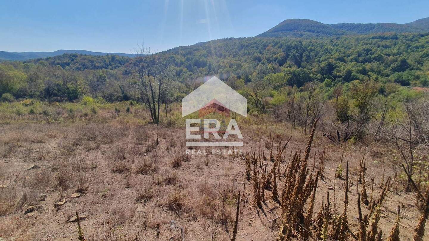For Construction in Radkovtsi, Veliko Tarnovo – photo 2