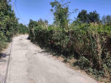 For sale - For Construction in Loziata,  Dobrich