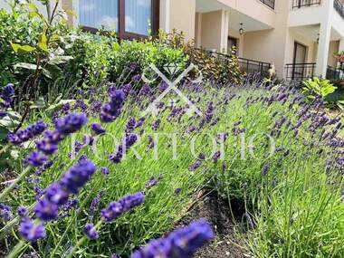 Satış - Apartman olarak Sveti Vlas,  Burgas