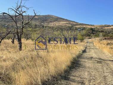 For sale - Agricultural land in Brestnik,  Plovdiv