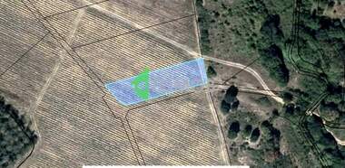 Verkauf - Landwirtschaftlich Grundstück in Malka Wereia,  Stara Zagora