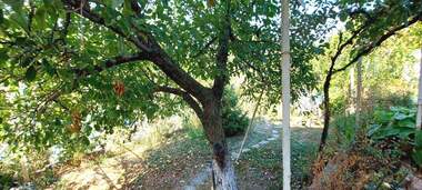 For sale - House in Kuba,  Haskovo