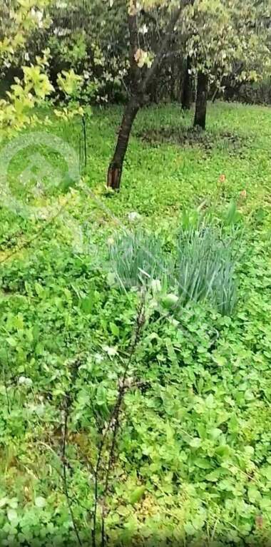 Vânzare - Casă în Mindia,  Veliko Tărnovo