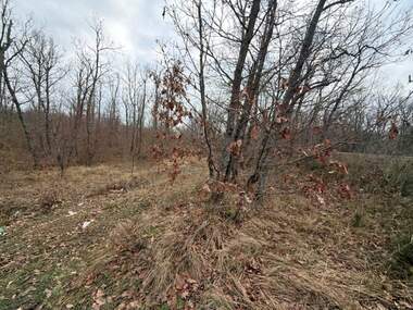 For sale - Agricultural land in Sozopol,  Burgas
