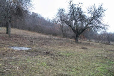 Vânzare - Teren de construcții în Șeremetia,  Veliko Tărnovo
