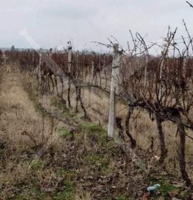 Продажба - Парцел за строителство в Цалапица,  Пловдив