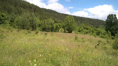 For sale - Meadow/pasture in Svoge,  Sofia Oblast