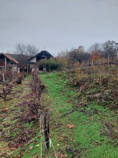 Satış - Asmalıklar olarak Parta 2,  Montana