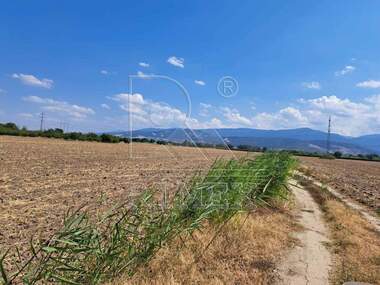 For sale - Agricultural land in Zlatitrap,  Plovdiv