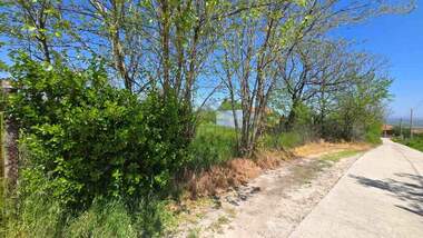 For sale - For Construction in Patalenica,  Pazardjik