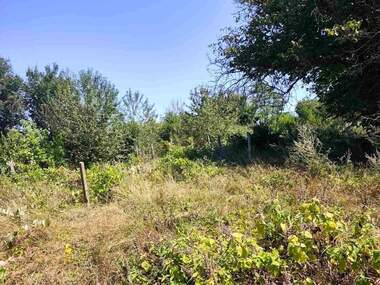For sale - For Construction in Loziata,  Dobrich