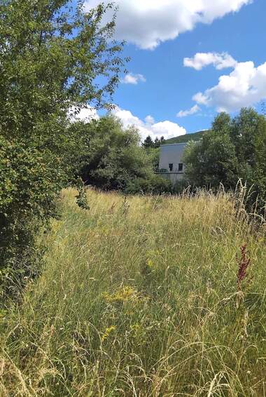 Verkauf - Baugrundstück in Saparewa Bania,  Küstendil