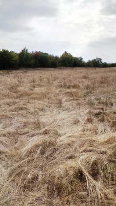 For sale - Meadow/pasture in Banya,  Burgas