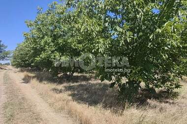 Πώληση - Γεωργική γη σε Цалапица,  Пловдив