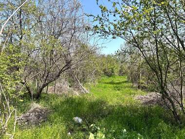 Vânzare - Casă în Vărbița,  Pleven