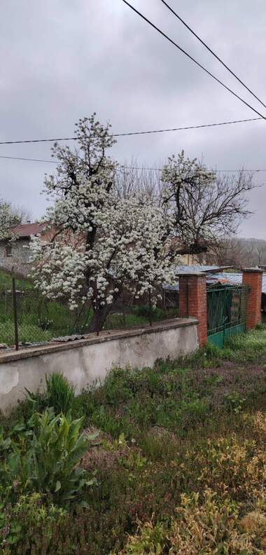 Продажба - Къща в Динево,  Хасково