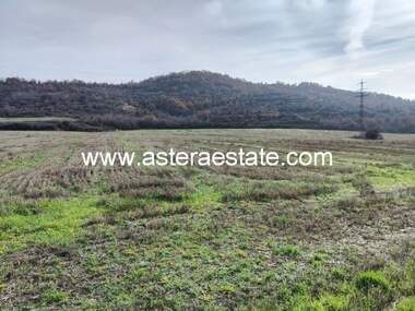 For sale - Orchard in Usoyka,  Kiustendil