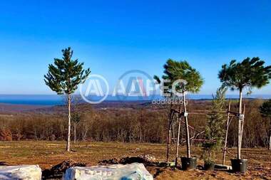 For sale - House in Priseltsi,  Varna