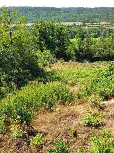 Πώληση - Οικόπεδο για κατασκευή σε Саласука,  Габрово