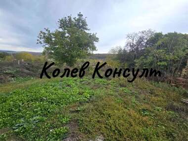 For sale - House in Pastrogor,  Haskovo
