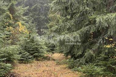 For sale - For Construction in Govedarci,  Sofia Oblast