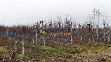 For sale - For Construction in Brestnik,  Plovdiv