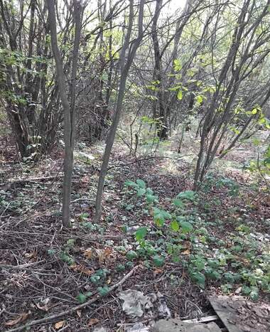 Verkauf - Baugrundstück in Mali Warbownik,  Küstendil