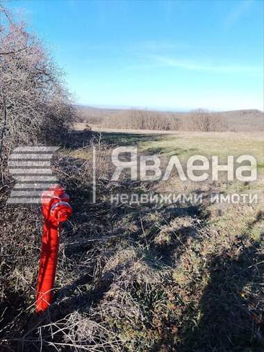 For sale - Agricultural land in Fazanovo,  Burgas