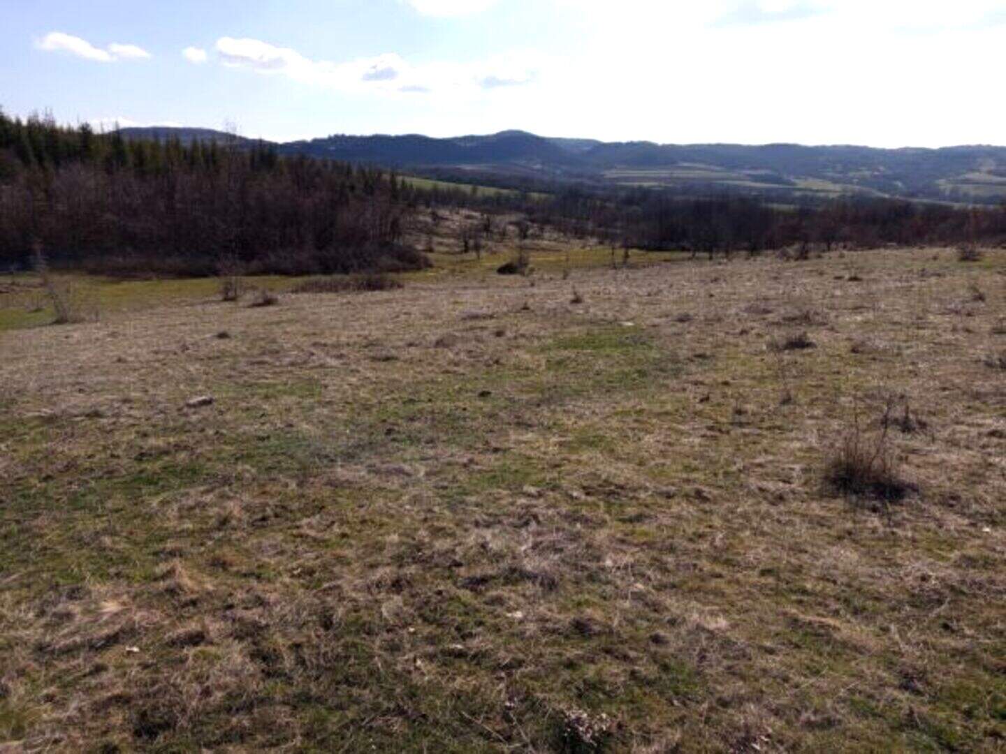 Земледельческая земля в Сестринско, Кърджали – фото 2