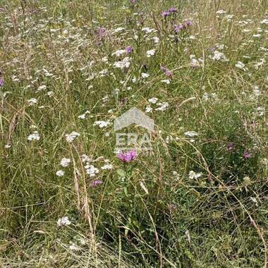Satış - Ev olarak Горна Мелна,  Перник