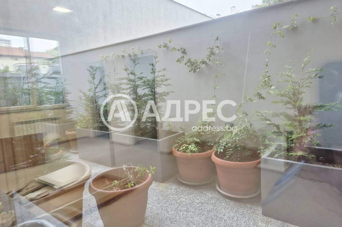 Γραφείο σε Τσενταρ, Βαρνα – φωτογραφία 9