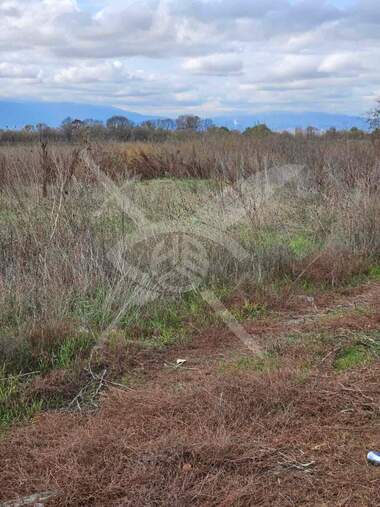For sale - For Construction in Chepinci,  Sofia