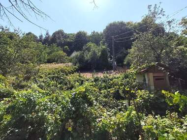 For sale - House in Vilna zona,  Targovishte