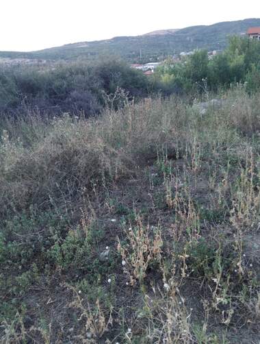 For sale - For Construction in Dupnica,  Kiustendil