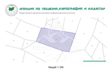 Satış - İnşaat arsası olarak Velingrad,  Pazarcik
