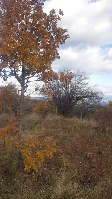 For sale - For Construction in Visoka Mogila,  Kiustendil