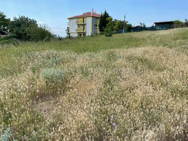 Verkauf - Baugrundstück in Koschariza,  Burgas