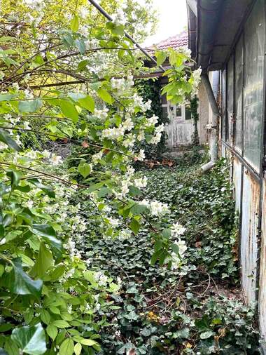 For sale - House in Bylgarevo,  Dobrich