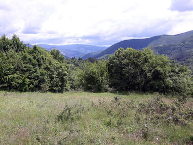 For sale - Meadow/pasture in Svoge,  Sofia Oblast
