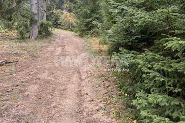 For sale - For Construction in Govedarci,  Sofia Oblast