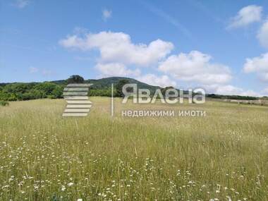 For sale - Agricultural land in Carevo,  Burgas