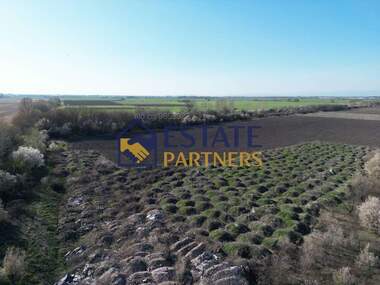 For sale - For Construction in Trud,  Plovdiv